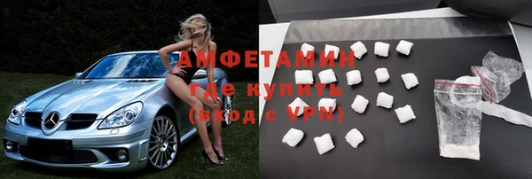 шишки Белокуриха