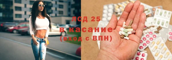 шишки Белокуриха