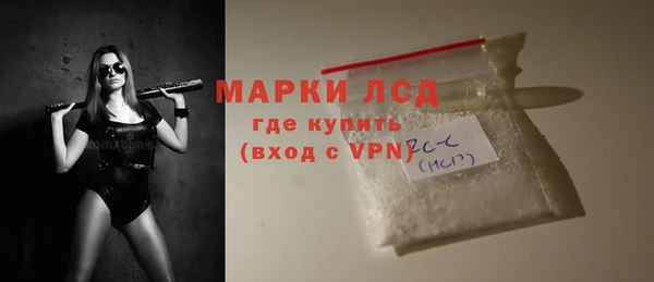 шишки Белокуриха