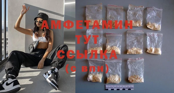 шишки Белокуриха